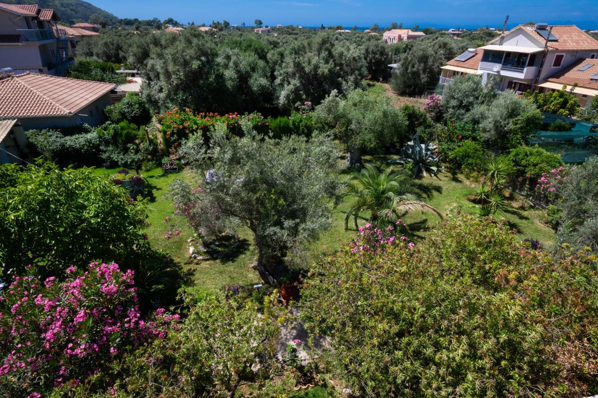 Villa Fenia Lefkada City Exterior photo
